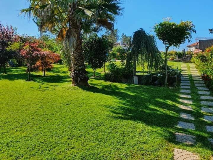 Villa Casa Brandao Póvoa de Varzim Zewnętrze zdjęcie